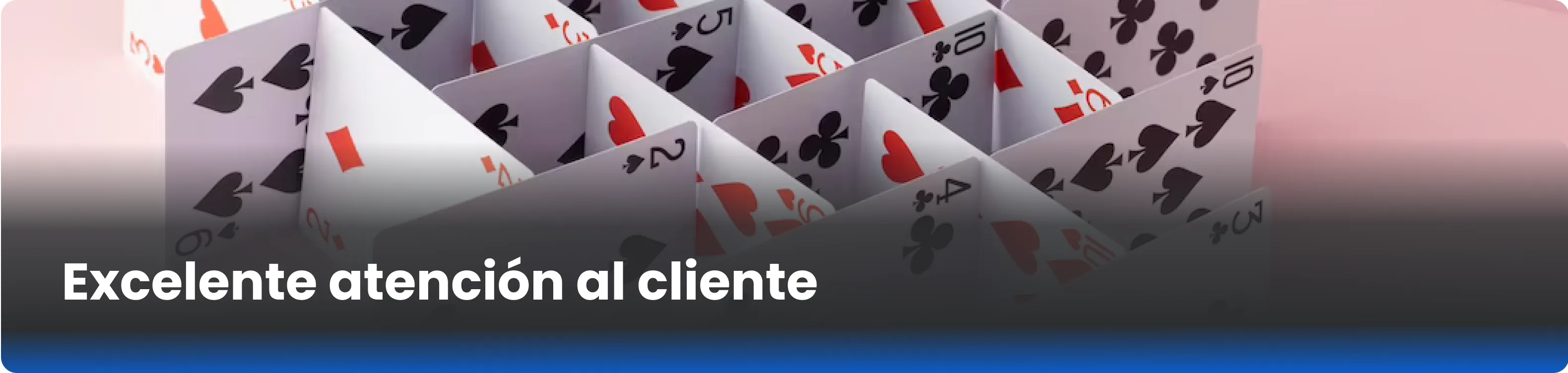 Excelente atención al cliente  